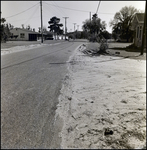 Shoulder and Road, Tampa, Florida, J by George Skip Gandy IV