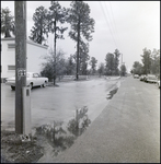 Wet Road at an Apartment Complex, Tampa, Florida, A by George Skip Gandy IV