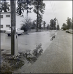 Wet Road at an Apartment Complex, Tampa, Florida, B by George Skip Gandy IV