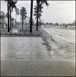 Undeveloped Land near Apartment Complex, Tampa, Florida, B by George Skip Gandy IV