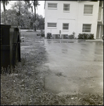 Dumpster near Apartment Complex, Tampa, Florida, A by George Skip Gandy IV