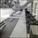 Sidewalk at Apartment Complex, Tampa, Florida, C by George Skip Gandy IV