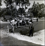 Asphalt Road Paving by Cone Brothers, Tampa, Florida, C by George Skip Gandy IV