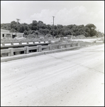 Guardrails on Bridge, Tampa, Florida, F by George Skip Gandy IV