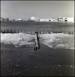 Construction of a Seawall in Port Tampa, Tampa, Florida, T by George Skip Gandy IV