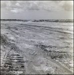 Open Field of a Cone Brothers Construction Site, Tampa, Florida, D by George Skip Gandy IV