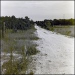 Unpaved Dirt Road, Tampa, Florida, A by George Skip Gandy IV