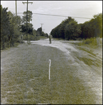 Unpaved Dirt Road, Tampa, Florida, G by George Skip Gandy IV