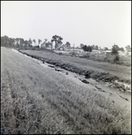 Canal Beside Housing Development, Tampa, Florida, A by George Skip Gandy IV