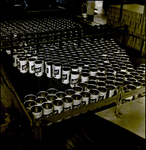 Empty Schlitz Beer Cans in Production, Tampa, Florida, B by George Skip Gandy IV