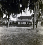 House with Spanish Moss in Front, Tampa, Florida, B by George Skip Gandy IV