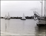 Sailboats in the Water by George Skip Gandy IV