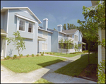 Blue Townhouse with Trees by George Skip Gandy IV