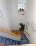 High Angle View of Blue Carpeted Stairs, A by George Skip Gandy IV