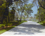 Entry Drive into Calibre Bend Apartments by George Skip Gandy IV