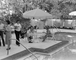 People Sitting on Outdoor Furniture by the Pool by George Skip Gandy IV