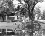 People Sitting by Gazebo by a Lake, A by George Skip Gandy IV