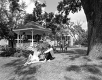 Front View of People Sitting with a Gazebo, B by George Skip Gandy IV