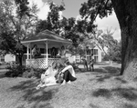 Front View of People Sitting in a Gazebo with a Couple in Front, D by George Skip Gandy IV