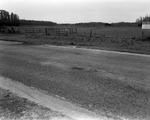 Unincorporated Road Near Henderson Blvd, Tampa, Florida C by George Skip Gandy IV