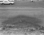 Road in Front of Henderson Hillsborough International Airport, Tampa, Florida by George Skip Gandy IV