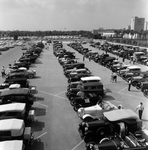 Vintage Cars in Front of Anheuser-Busch Brewery, Tampa, Florida, E by George Skip Gandy IV