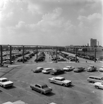 Vintage Cars Near Anheuser-Busch Brewery, Tampa, Fla. by George Skip Gandy IV