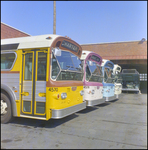 Group of Charter Buses, Tampa, Florida, A by George Skip Gandy IV