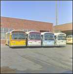 Group of Charter Buses, Tampa, Florida, D by George Skip Gandy IV