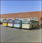 Group of Charter Buses, Tampa, Florida, E by George Skip Gandy IV