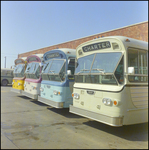 Group of Charter Buses, Tampa, Florida, G by George Skip Gandy IV