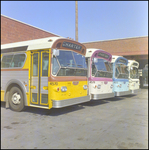 Group of Charter Buses, Tampa, Florida, K by George Skip Gandy IV