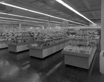 Women's Section in the CMA Shoe Department Store, Tampa, Florida by George Skip Gandy IV