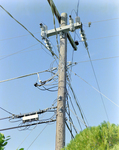 Utility Pole, B by George Skip Gandy IV