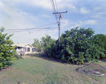 Utility Pole, C by George Skip Gandy IV