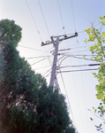 Utility Pole, D by George Skip Gandy IV