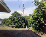 Utility Pole, F by George Skip Gandy IV