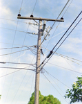 Utility Pole, G by George Skip Gandy IV