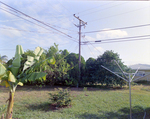 Utility Pole, H by George Skip Gandy IV