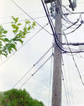 Utility Pole, J by George Skip Gandy IV