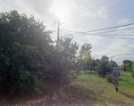 Utility Pole, K by George Skip Gandy IV