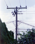 Utility Pole, L by George Skip Gandy IV