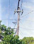 Utility Pole, N by George Skip Gandy IV