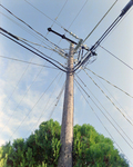 Utility Pole, O by George Skip Gandy IV