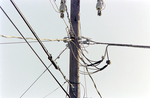 Utility Pole, AH by George Skip Gandy IV