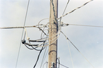 Utility Pole, AI by George Skip Gandy IV