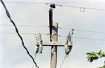 Utility Pole, AJ by George Skip Gandy IV