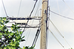 Utility Pole, AO by George Skip Gandy IV