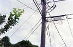 Utility Pole, AT by George Skip Gandy IV