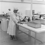 Employees of Colonial Meat Packing Corporation, St. Petersburg, Florida, A by George Skip Gandy IV